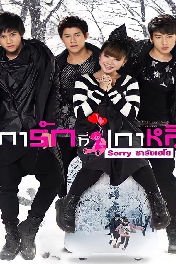 Sorry Saranghaeyo (2010) เการักที่เกาหลี ซอร์รี ซารังเฮโย