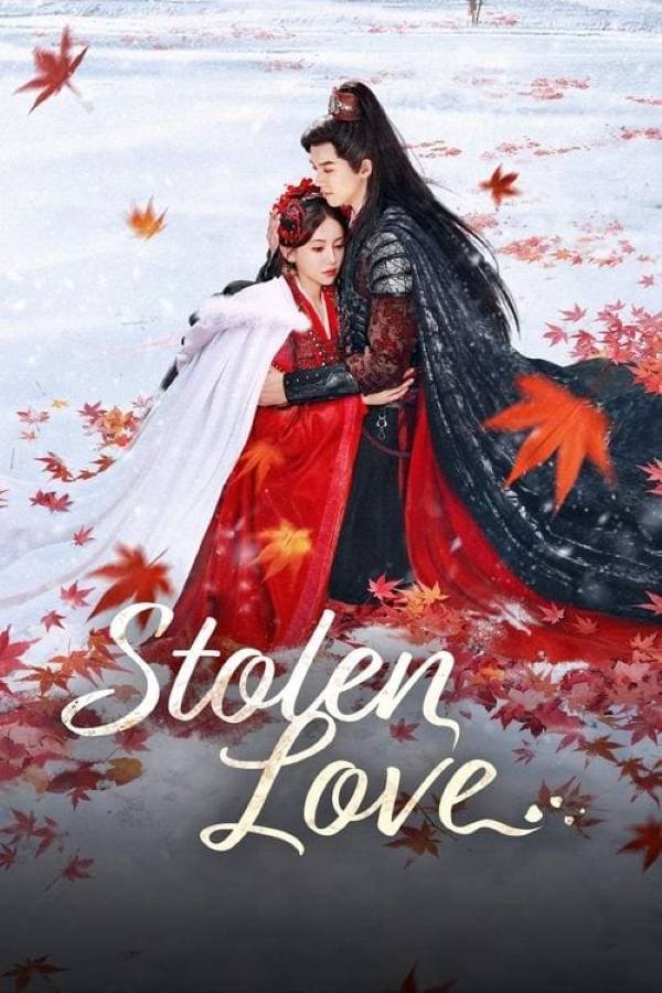 Stolen Love (2025) ชิงรักสลักใจ